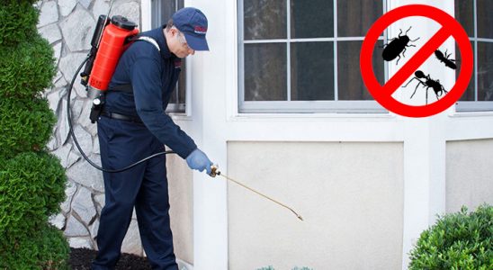 Saraykent Tahtakurusu İlaçlama böcek ilaçlama ve haşere kontrolü — ilaclama-tr.com